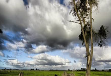 九游游戏-阿尔希拉尔主帅战术布置细致，力争半决赛全胜