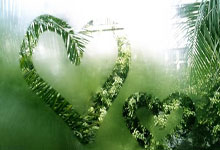 九游娱乐官方网站-橙衣风暴夜：86分钟绝境重生！荷兰主场惊天逆转背后的铁血密码