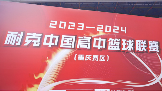 关于里尔球迷热情高涨，助威声不绝于耳的信息