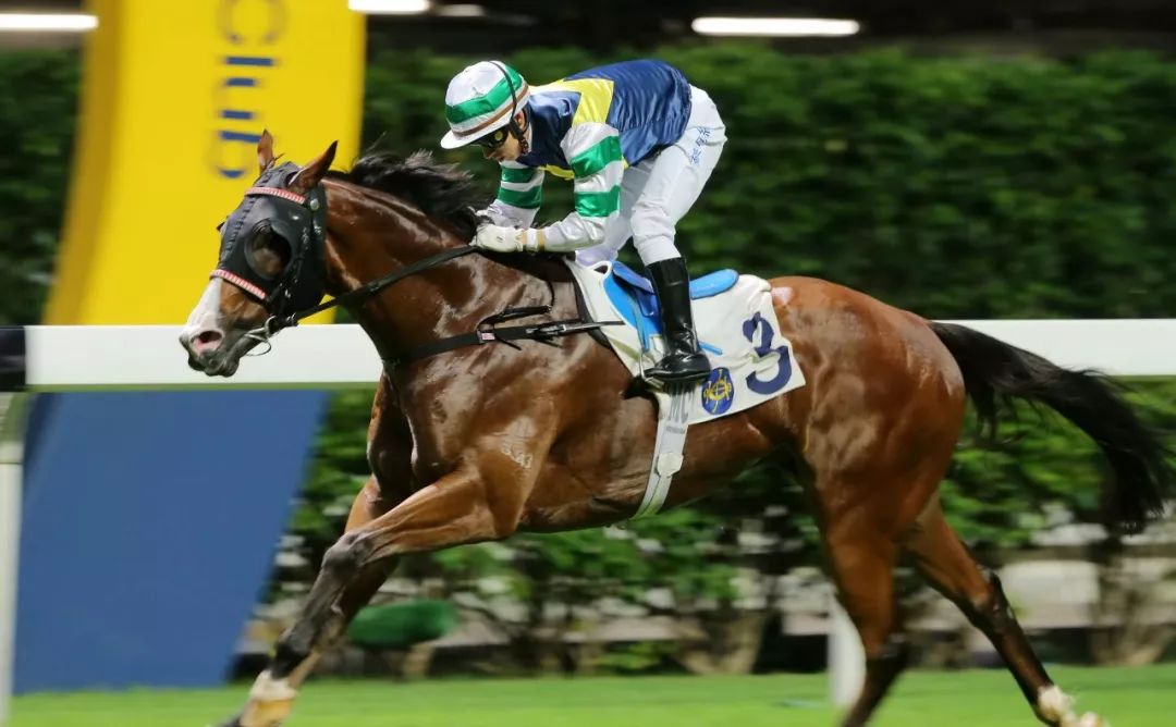 九游娱乐网页-雅加达轻松取胜,成功晋级下一轮赛事