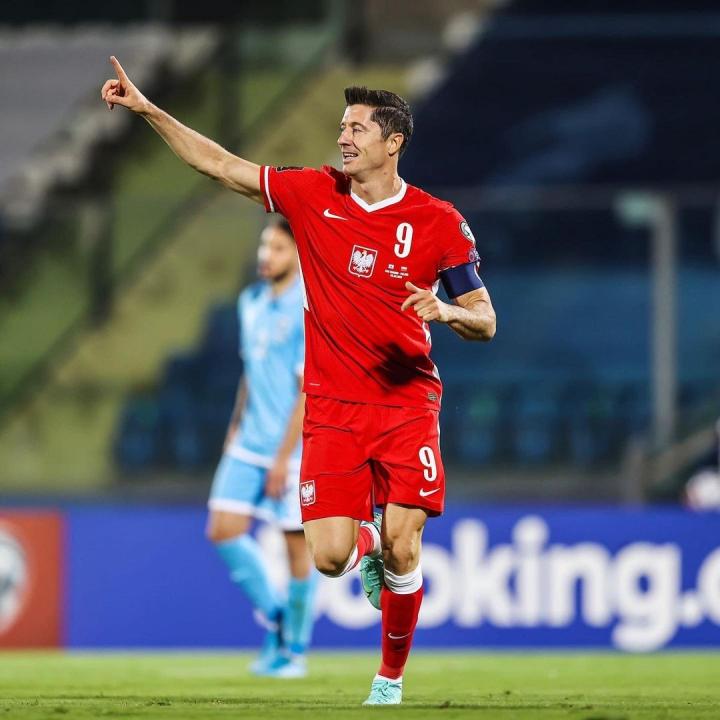 九游体育官方入口-波兰队大胜圣马力诺，小组出线形势乐观的简单介绍