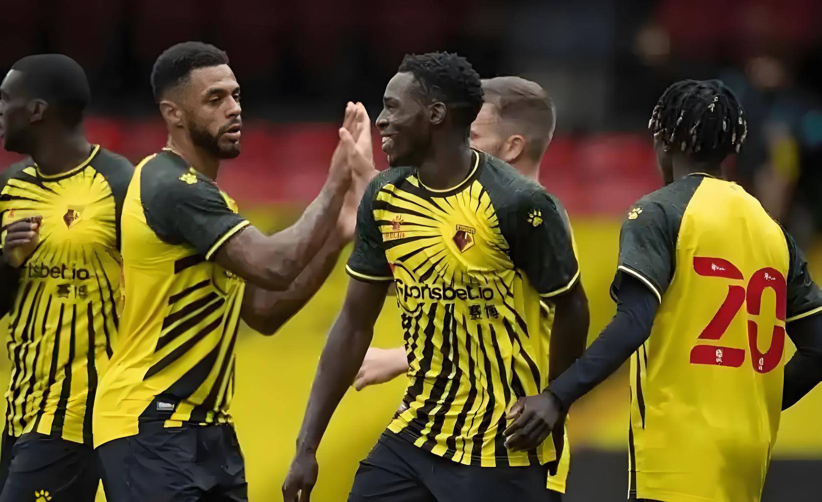 沃特福德客场输球，保级形势雪上加霜！的简单介绍