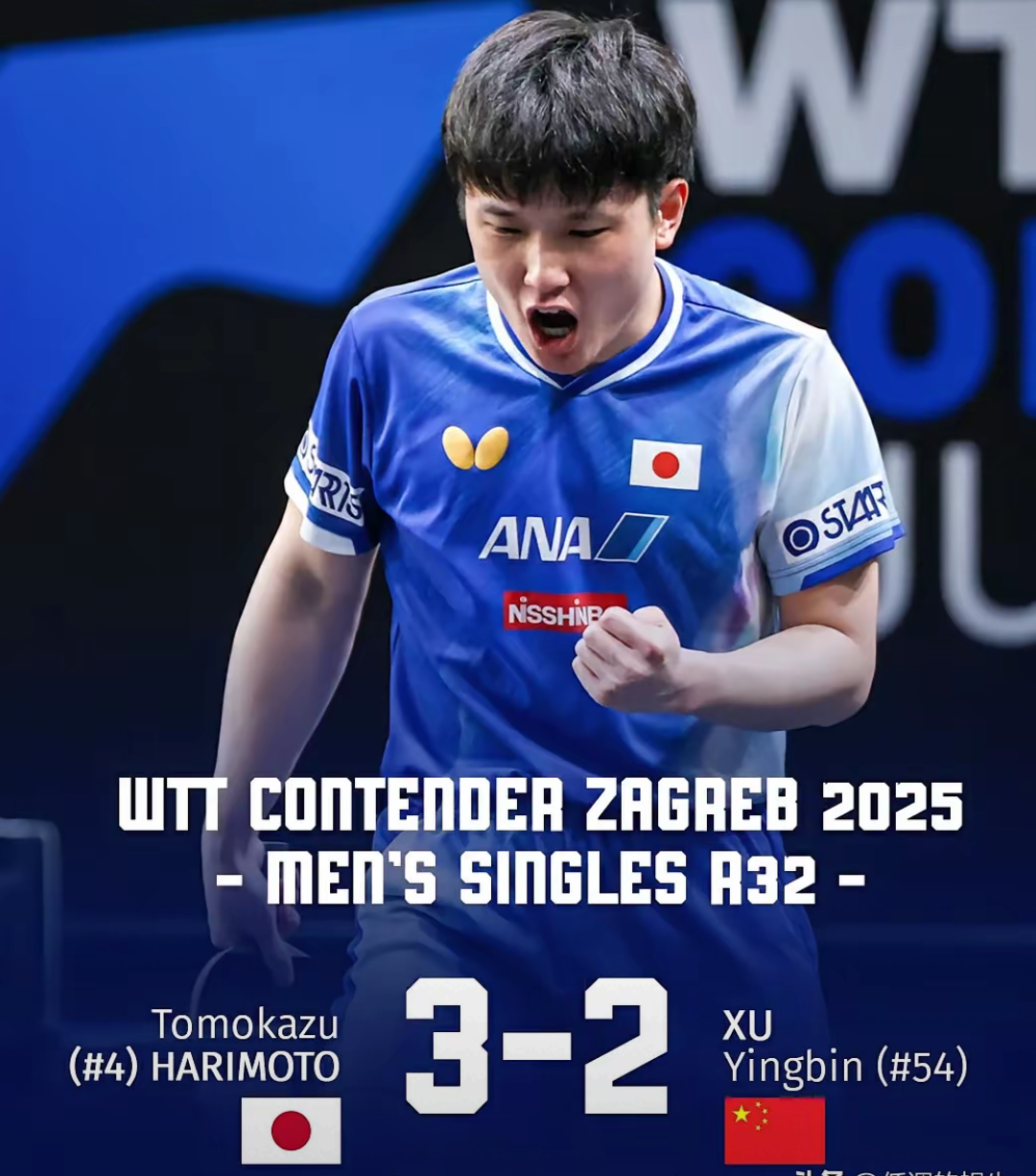 包含韩国队横扫奥地利队,张本智和状态火热的词条 包含韩国队横扫奥地利队,张本智和状态火热的词条